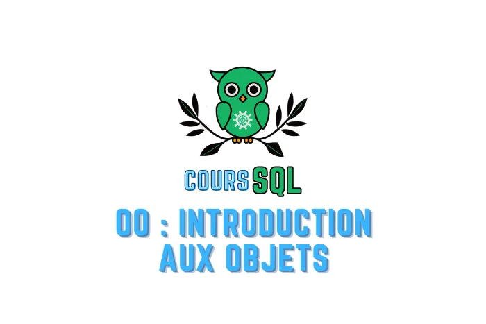 Icône SQL Oracle